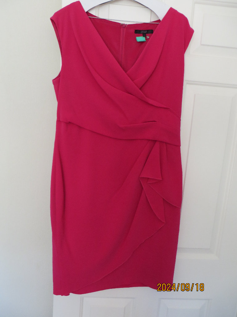 size 16 Coast dress in Cerise dry cleaned