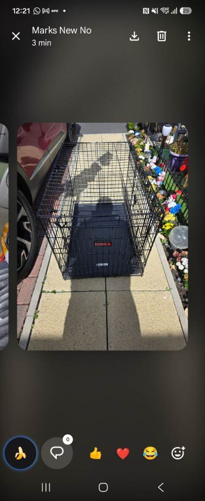 Dog cage 