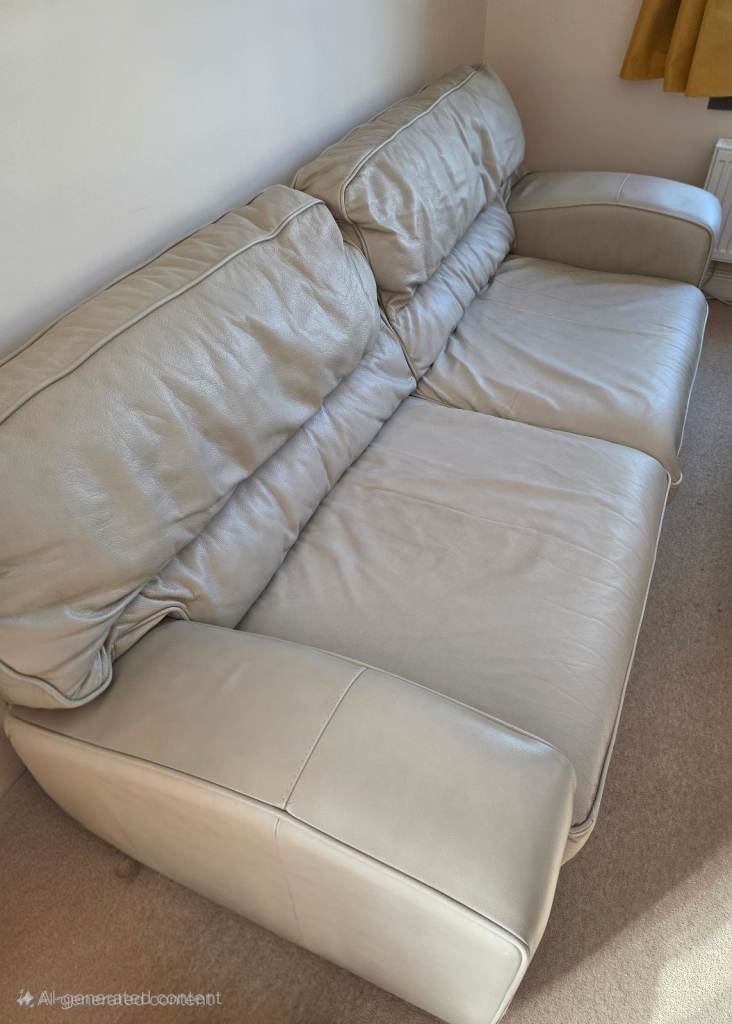 Leather sofa 