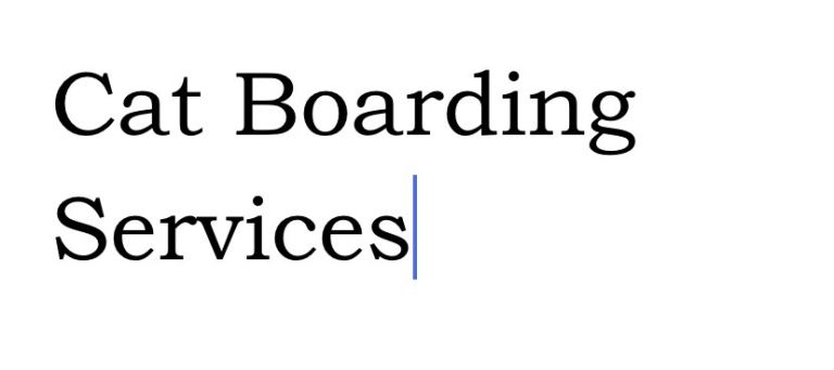 Cat Boarding Services 