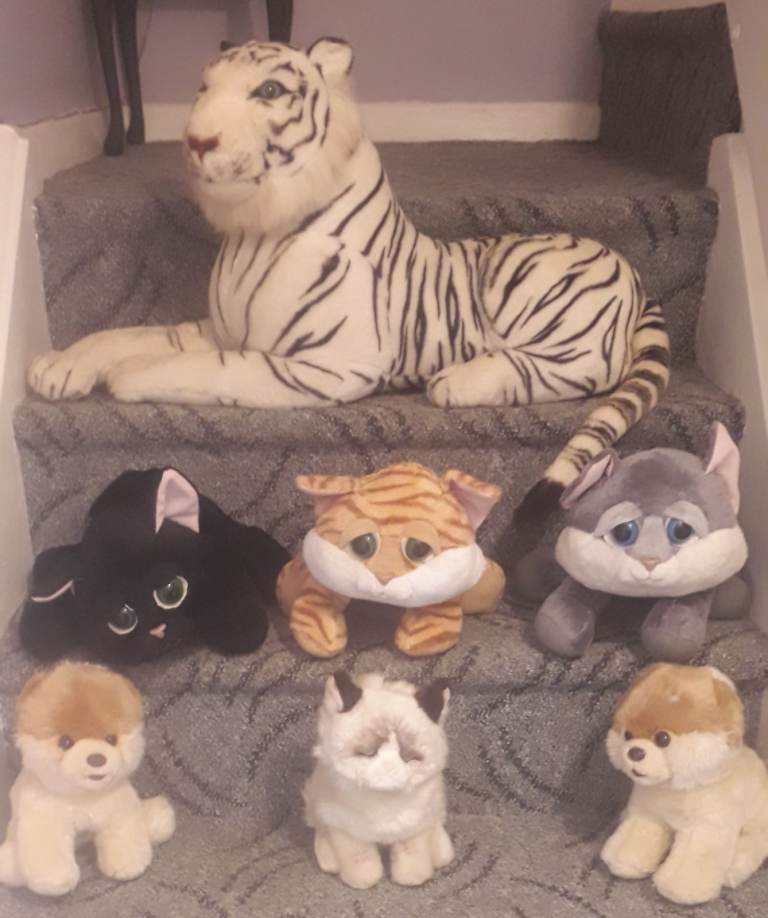 Selection of Soft Toy Animals – Good Condition