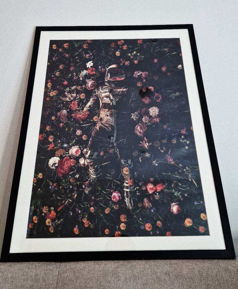 Stunning large astronaut print