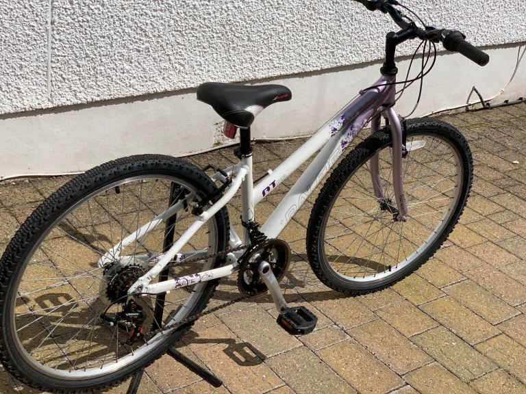 Raleigh 26 inch Bicycle 