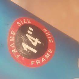 Apollo mountain bike  older child  adult