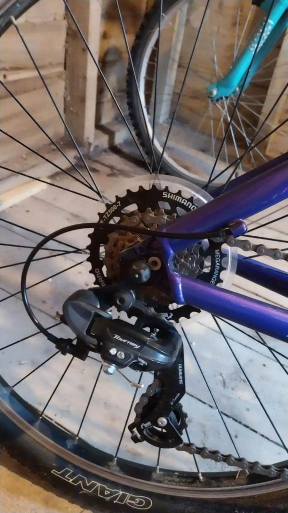 2020 Liv Bliss 3 Disc Hardtail Mountain Bike - Purple 