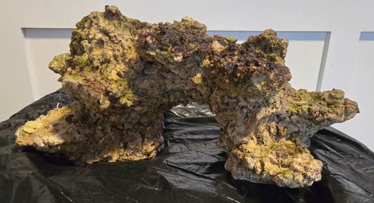 Ceramic Reef Rock Arch Aquarium (L34cm/H24cm/D32cm)