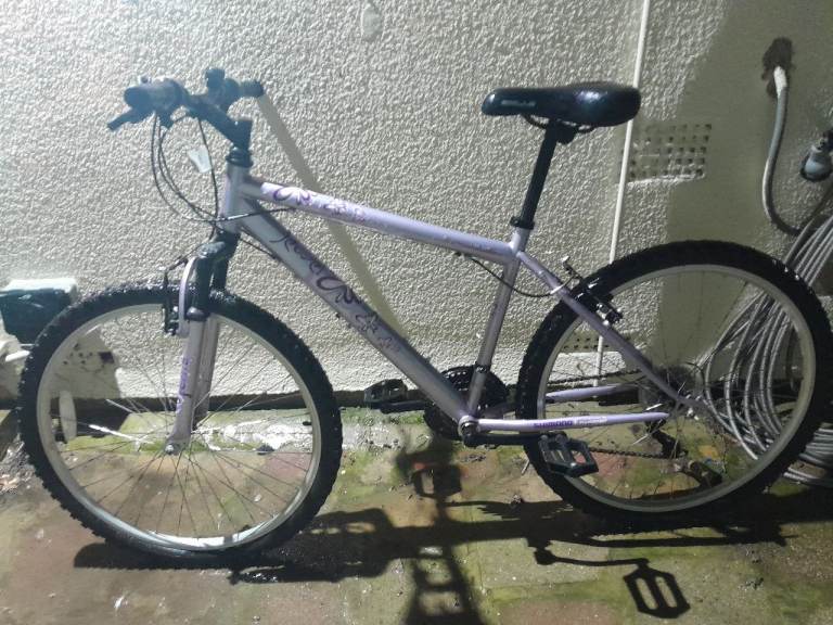 Ladies or Girls Apollo Jewel Bike .