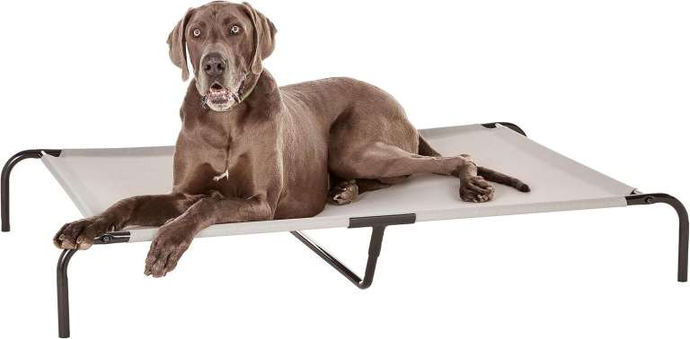 Raised Dog Bed, Cooling Breathable Elevated Pet Bed