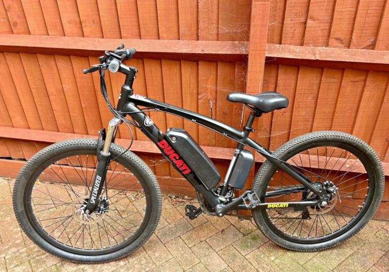 Electric Mountain Bike