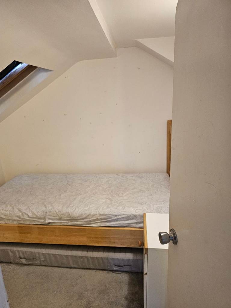 Single room for rent 