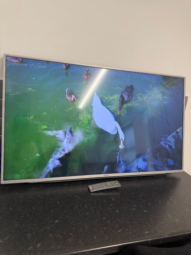 Shark 49 inch 4k smart tv