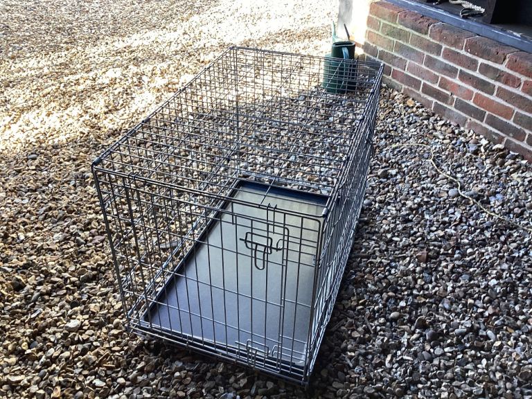 Dog Crate 