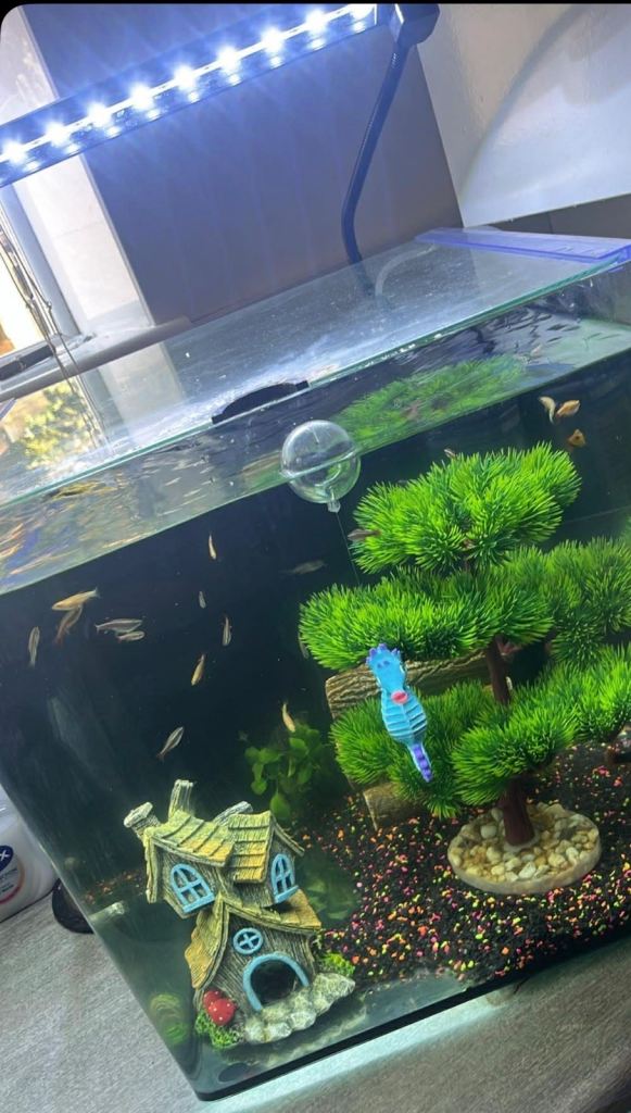 55 litre Aquarium with light