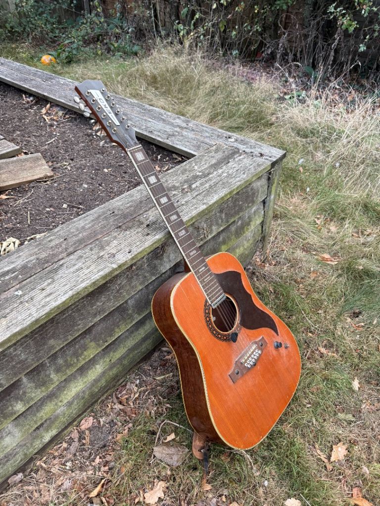 Vintage EKO 12 string guitar