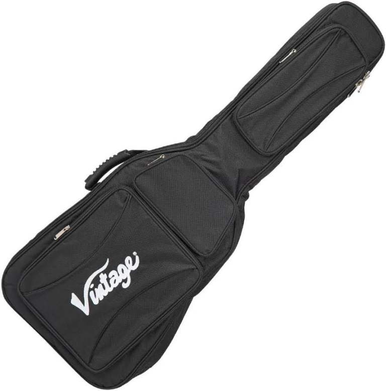 Guitar gig bag 