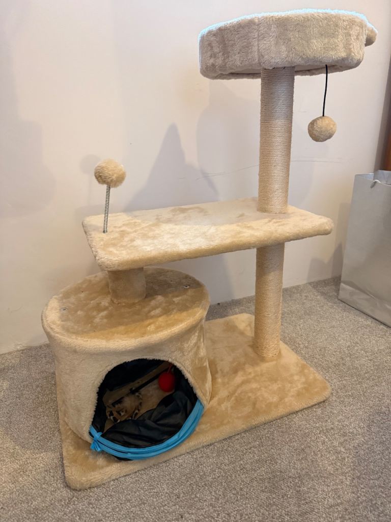 Brand new cat tree and some toys 