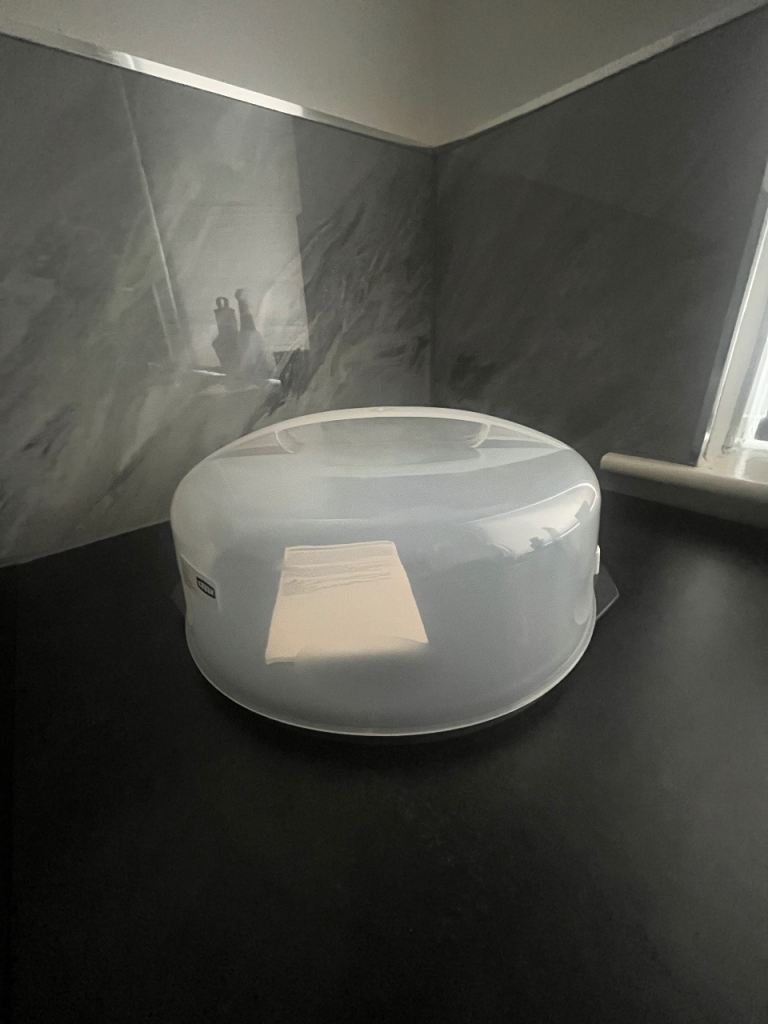 Cake Storage Container 