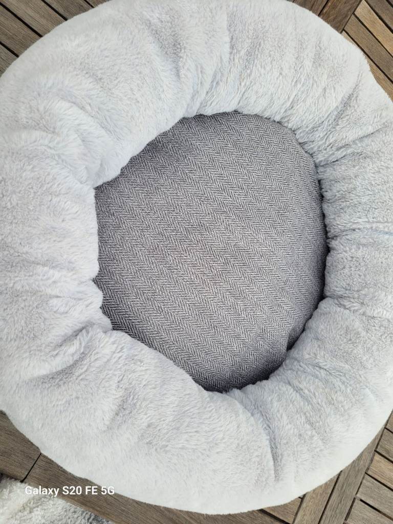 Cat Bundle Bed Play Ball Litter House Used For One Day As Cat Went Missing