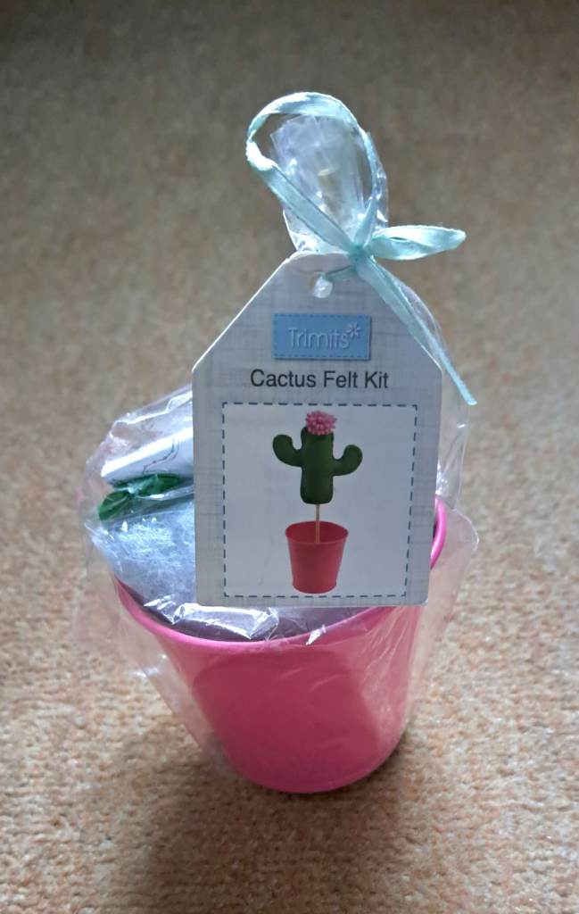 Kids craft set cactus wuth pot 