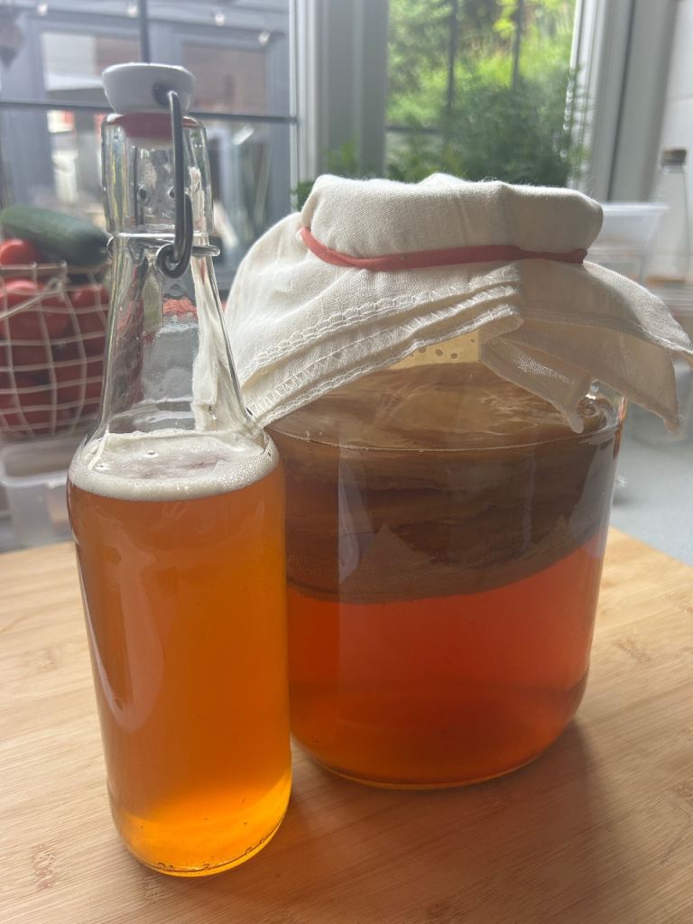 Kombucha scoby