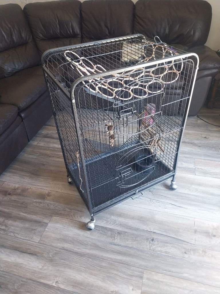 Rat Cage