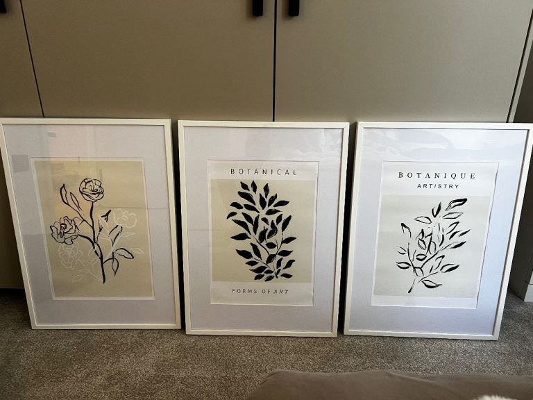 Set of 3 Framed Botanical Prints – Minimalist Wall Art