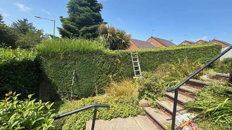 Jordan's garden care