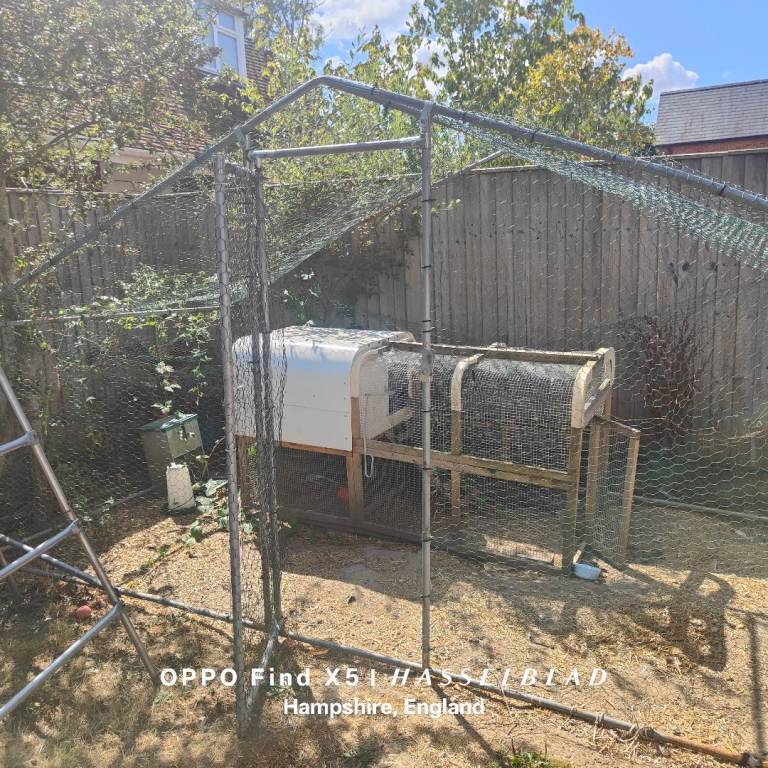 Chicken house and run