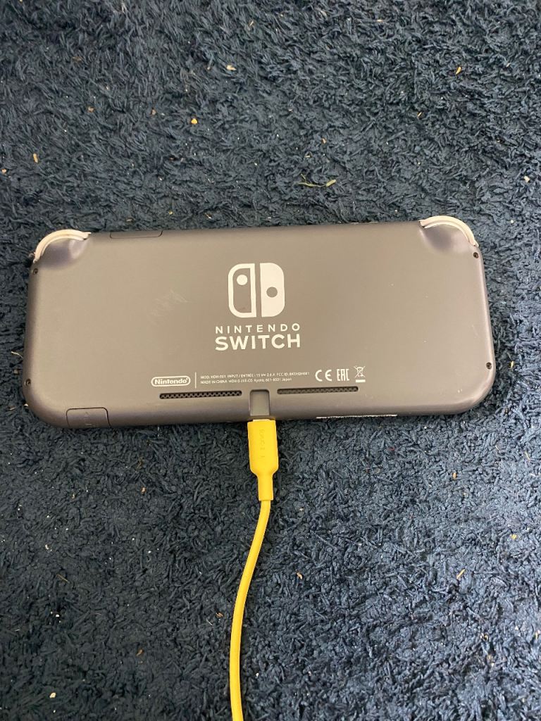 Nintendo Switch Lite Grey with Game and Charger