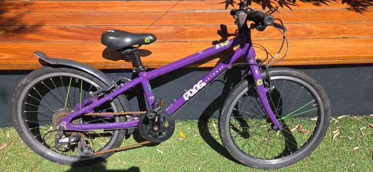 52 Frog 20 inch childrens bike purple 