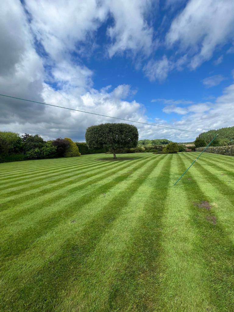 Garden/lawn maintenance