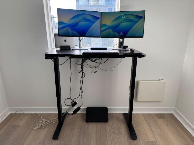 Flexispot Standing Desk EC22RP2U2