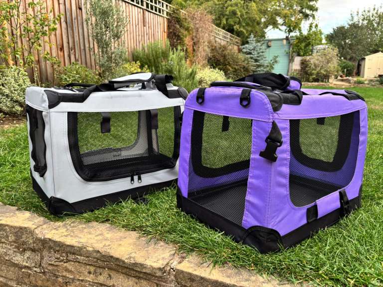 Pet carrier