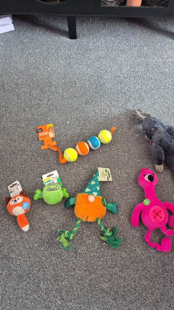 NEW Pet toy bundle