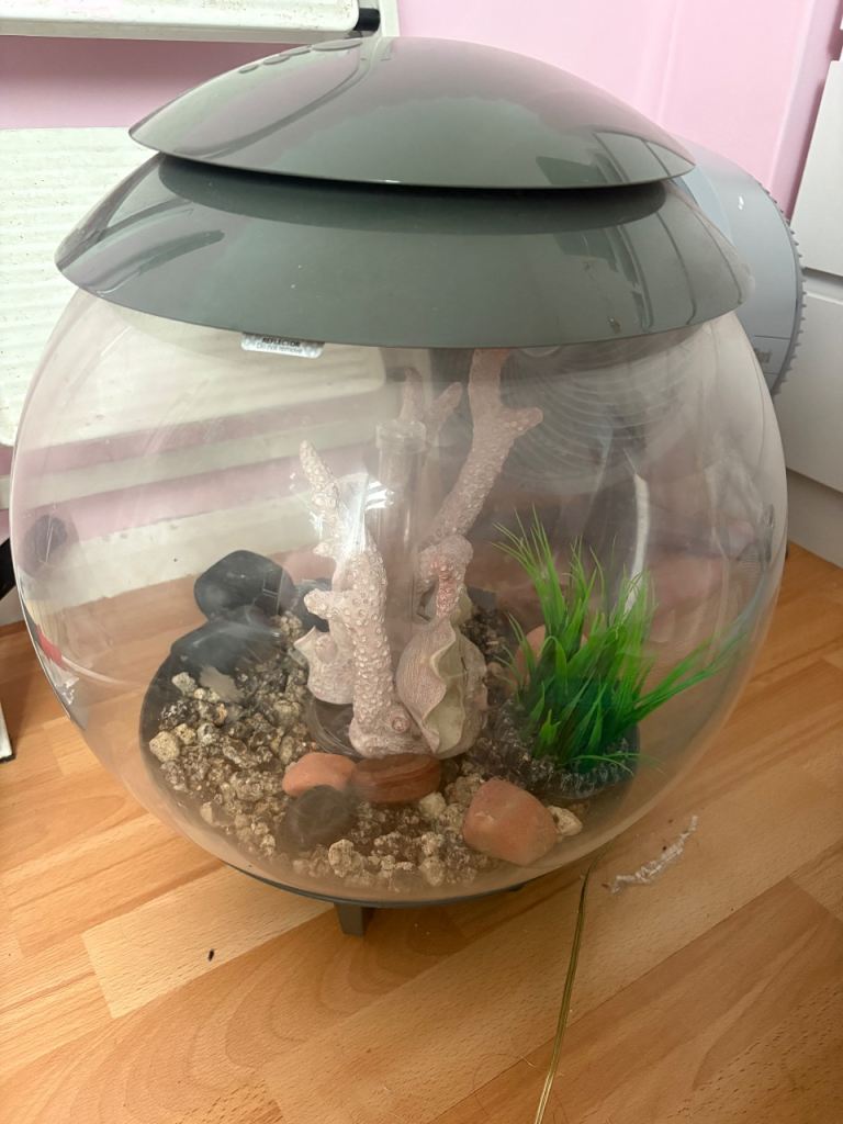 BioOrb fish tank -MISSING PLUG