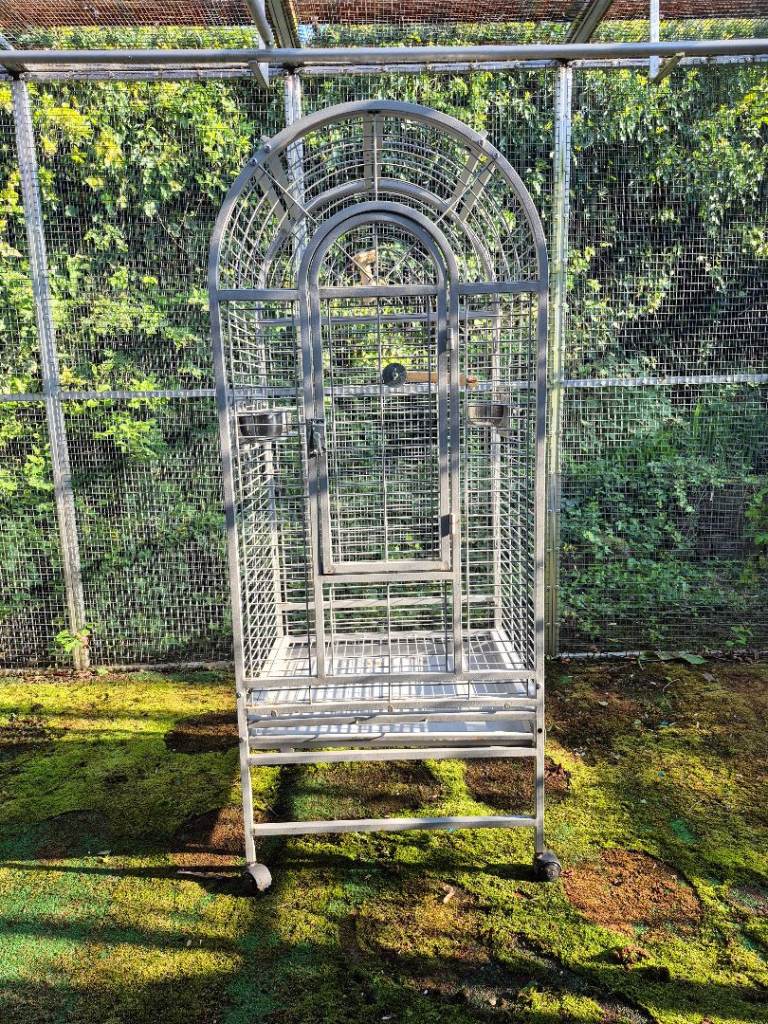 Parrot Cage