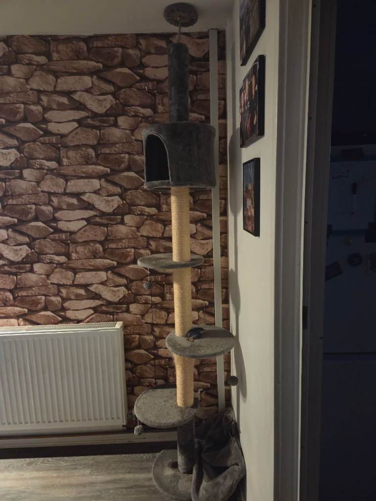 Cat tower 