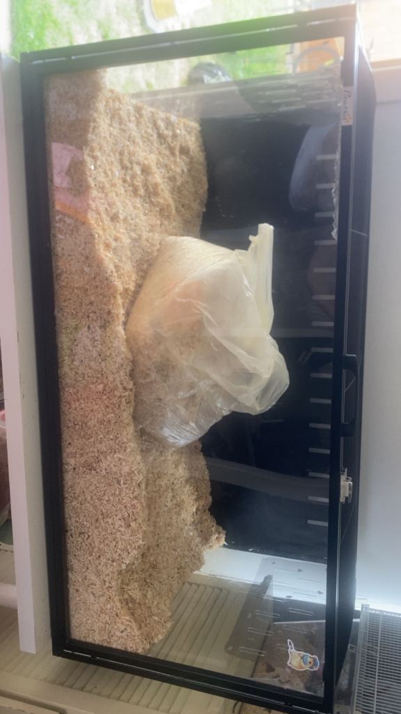 hamster enclosure