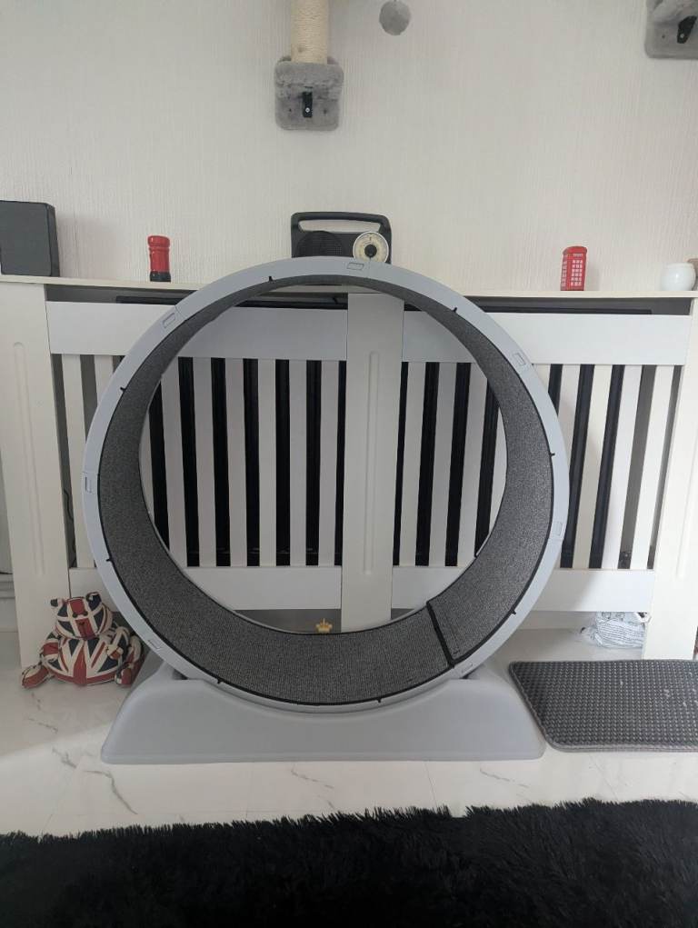 Cat exercise wheel 