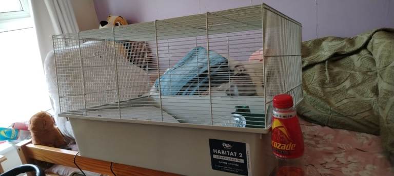 Hamster cage