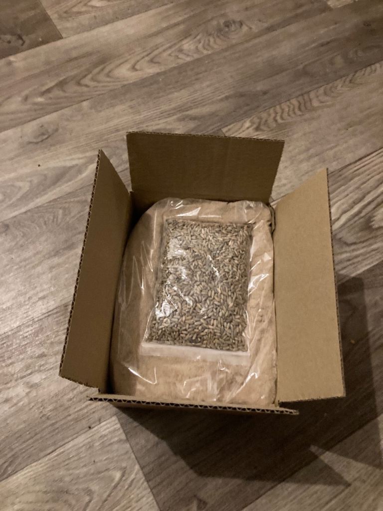 Grow your own mushroom kit