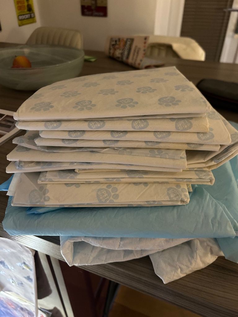 FREE puppy pads