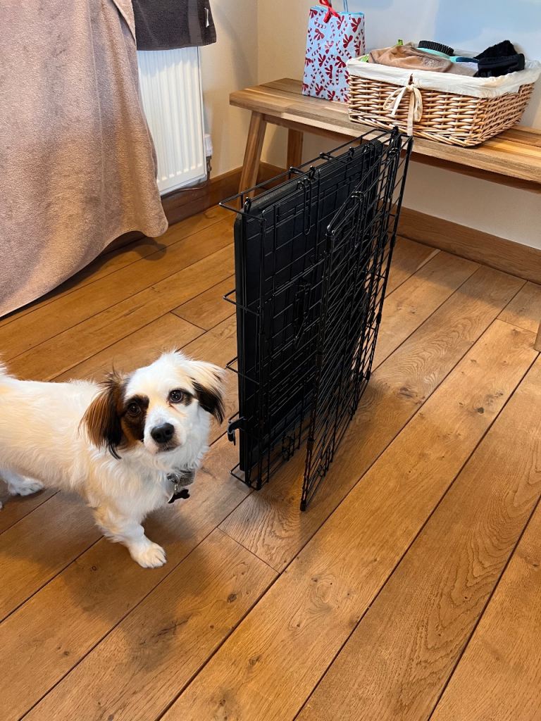 Dog Crate Small Foldable Collapsible 