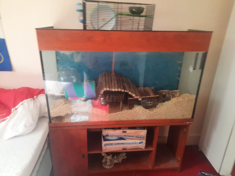 Hamster Gerbil Tank Cage