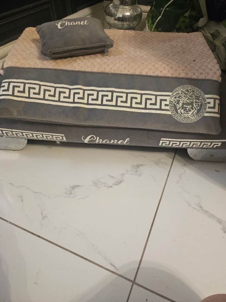 Persian cat for sale