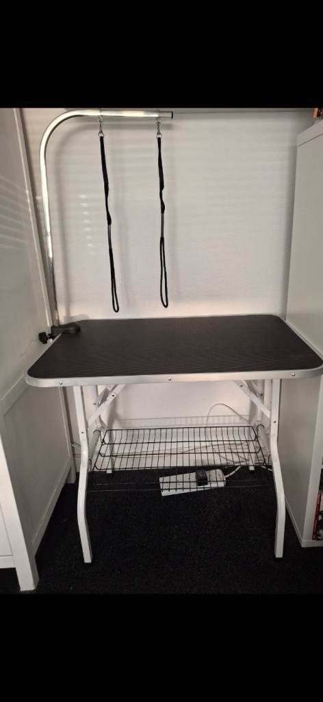 Dog groming table
