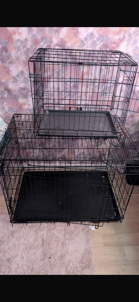 Dog cage 