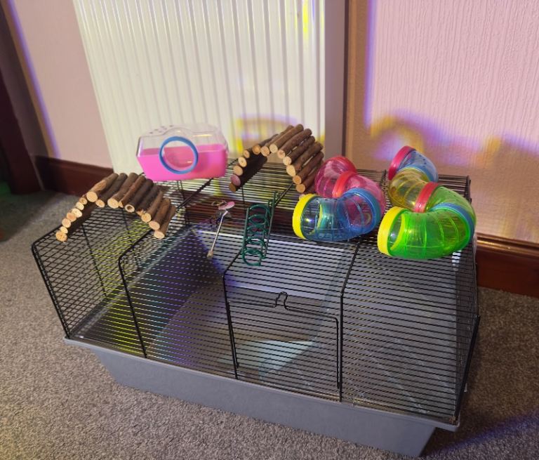Temporary medium sized hamster cage 56cm x 36cm and accessories