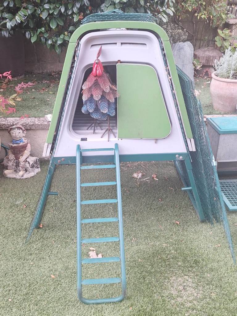 Eglu up chicken house and run