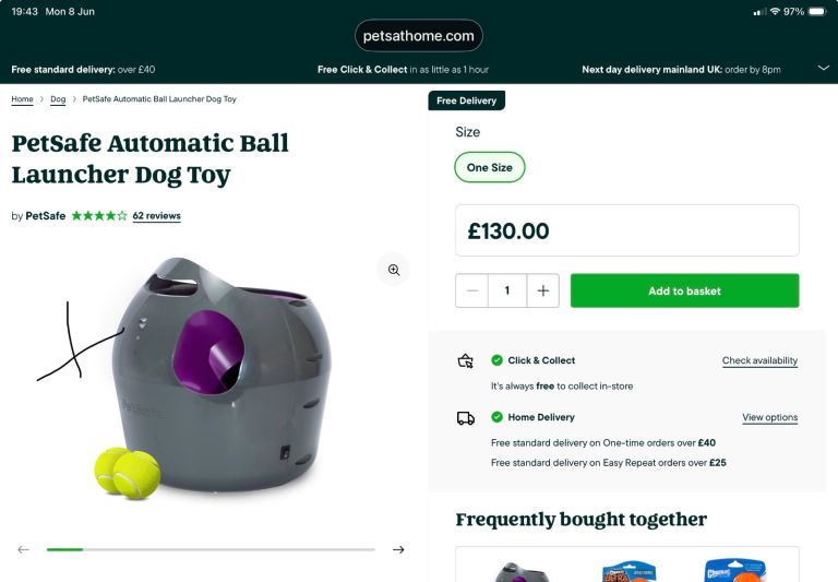 Dog toy